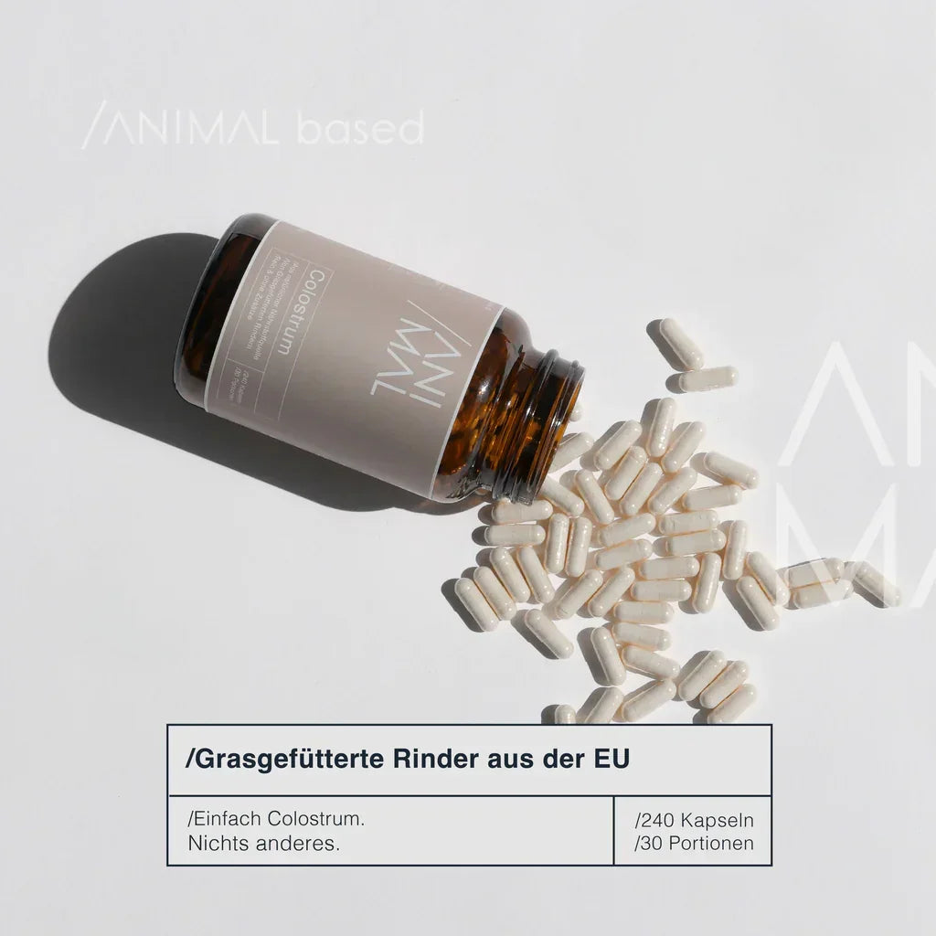 Animalbased Colostrum Kapseln 240 Stück – grasgefütterte Rinder EU, umgekippte Glasflasche, weiße Kapseln, Lifestyle
