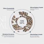 Animalbased Colostrum Kapseln 240 Stück – Infografik: ohne Zusatzstoffe, bioverfügbar, einfache Einnahme, nachhaltig

