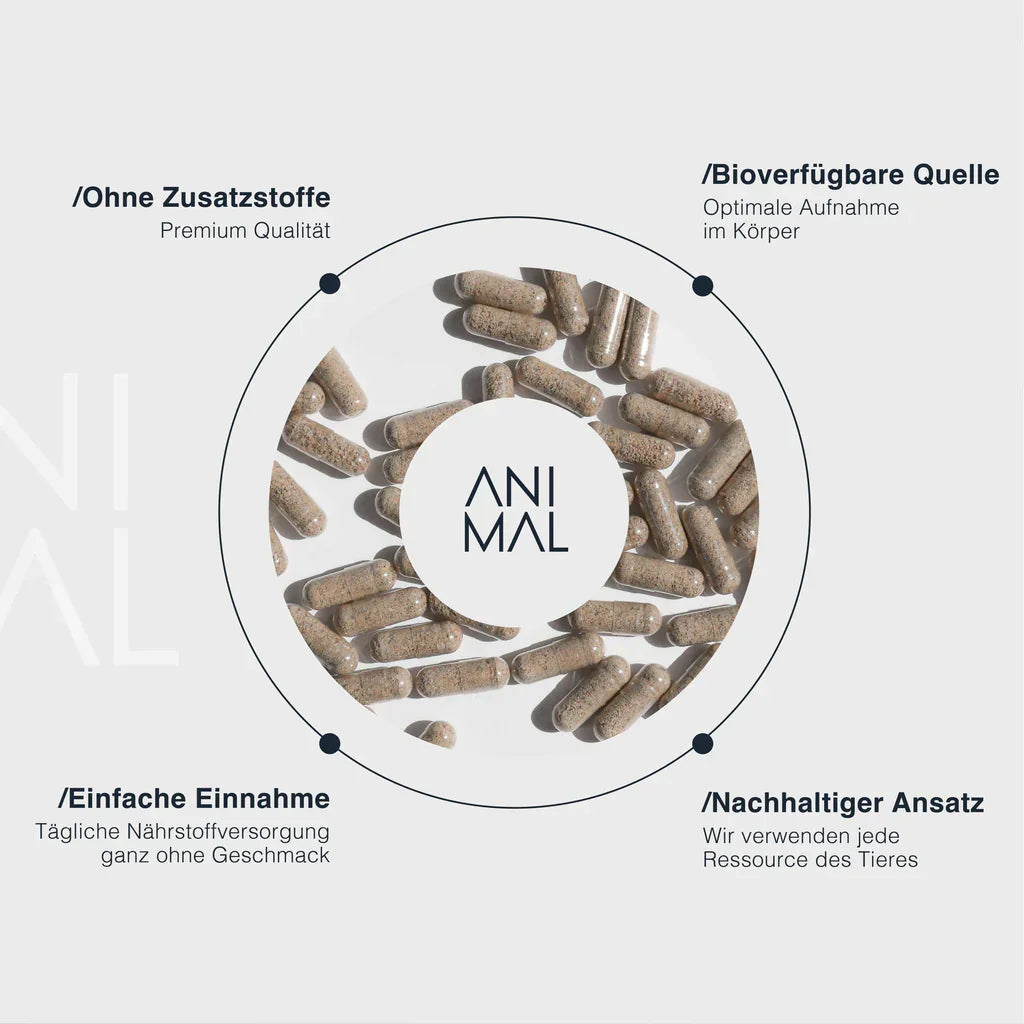 Animalbased Colostrum Kapseln 240 Stück – Infografik: ohne Zusatzstoffe, bioverfügbar, einfache Einnahme, nachhaltig
