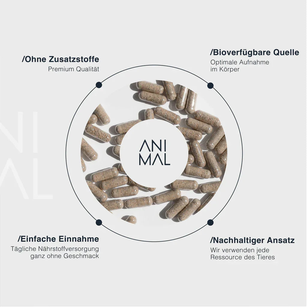 Animalbased Female Complex – Infografik: ohne Zusatzstoffe, bioverfügbar, einfache Einnahme, nachhaltiger Ansatz
