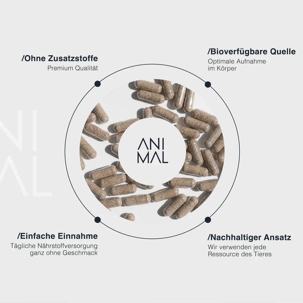 Animalbased Male Complex – Infografik: ohne Zusatzstoffe, bioverfügbare Quelle, einfache Einnahme, nachhaltiger Ansatz
