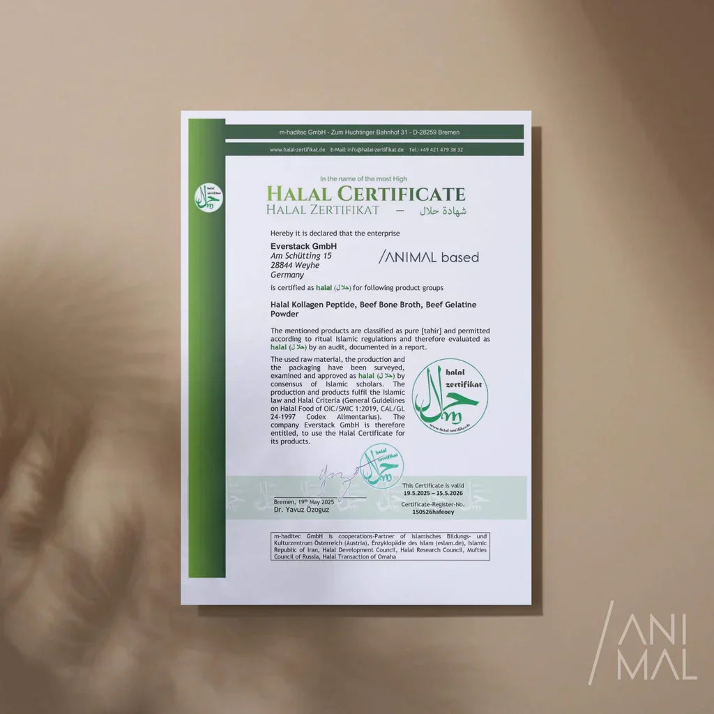Animalbased Rindergelatine Pulver – Halal Zertifikat, zertifiziert halal, Beef Gelatine Powder