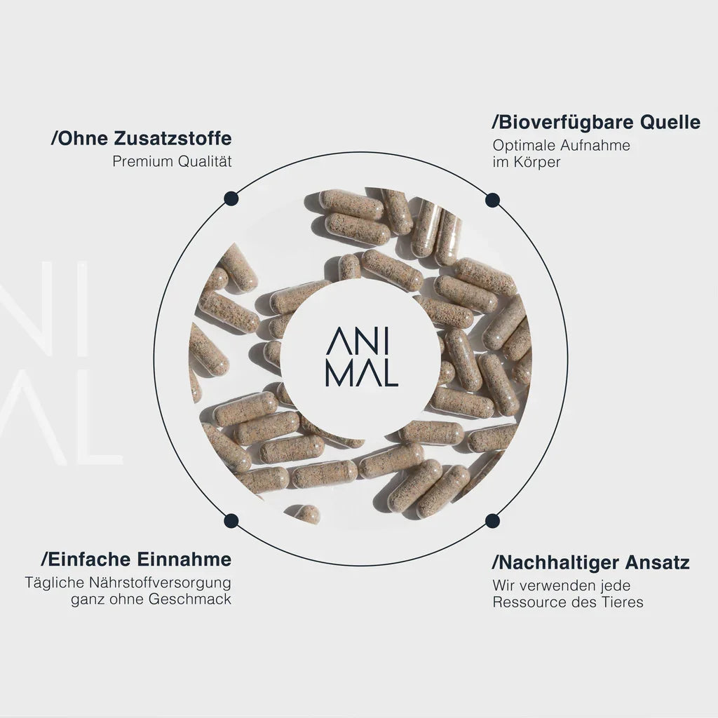 Animalbased Rinderorgane Kapseln – bioverfügbar, ohne Zusatzstoffe, nachhaltiger Ansatz