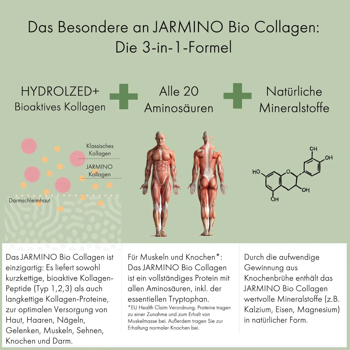 Jarmino Bio Kollagen 300g – 3-in-1 Formel, bioaktives Kollagen, alle 20 Aminosäuren, natürliche Mineralstoffe