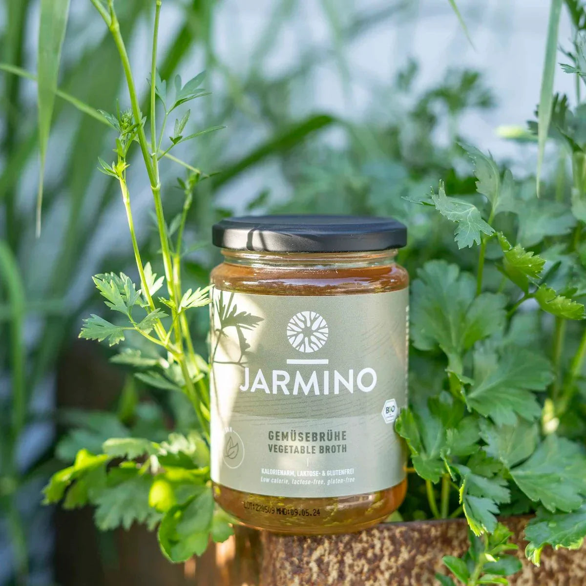 Jarmino Gemüsebrühe 350ml – Glasflasche auf natürlichem Untergrund, frische Kräuter im Hintergrund