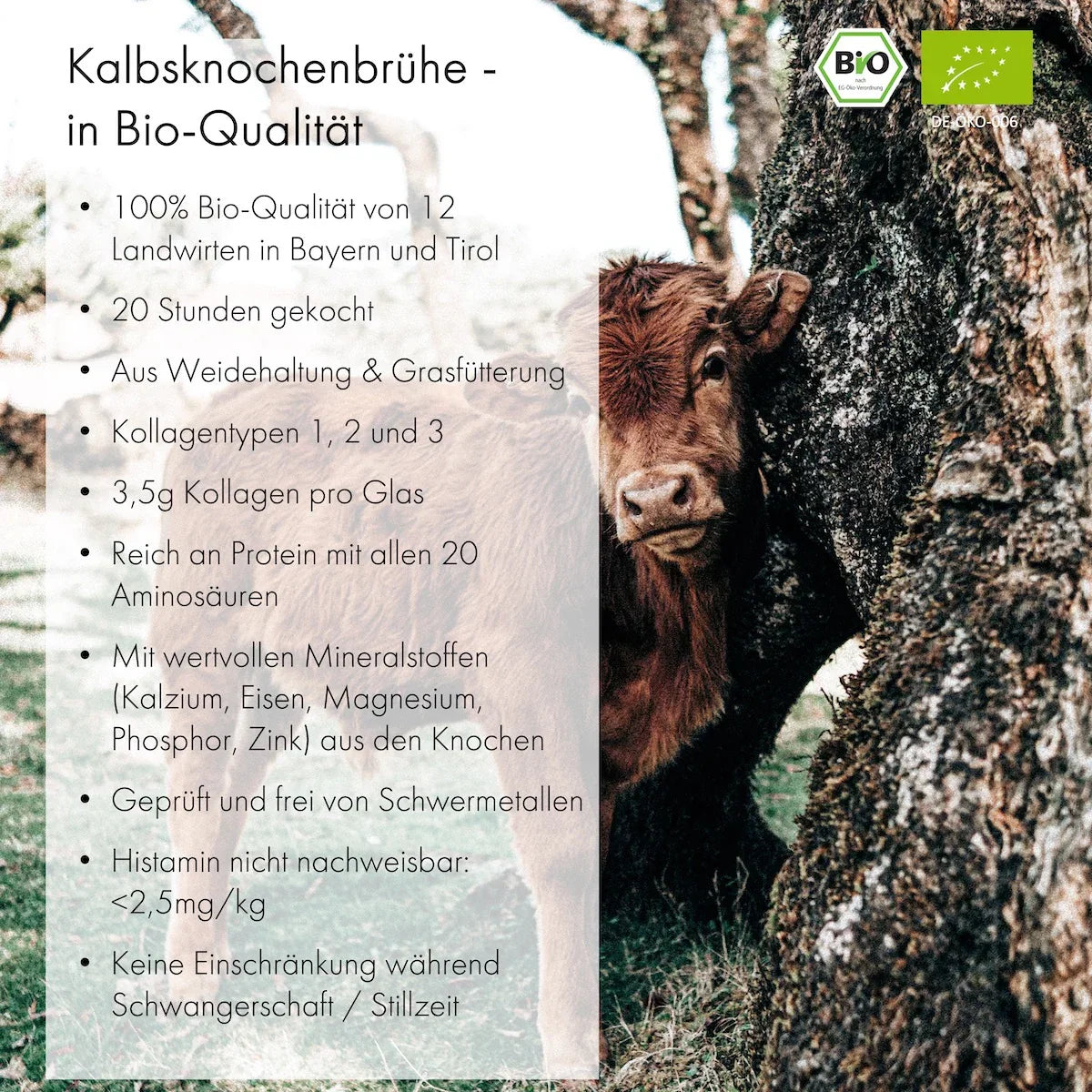Jarmino Kalbsknochenbrühe 350ml – Kalb, USPs, Qualitätsmerkmale, premium Knochenbrühe