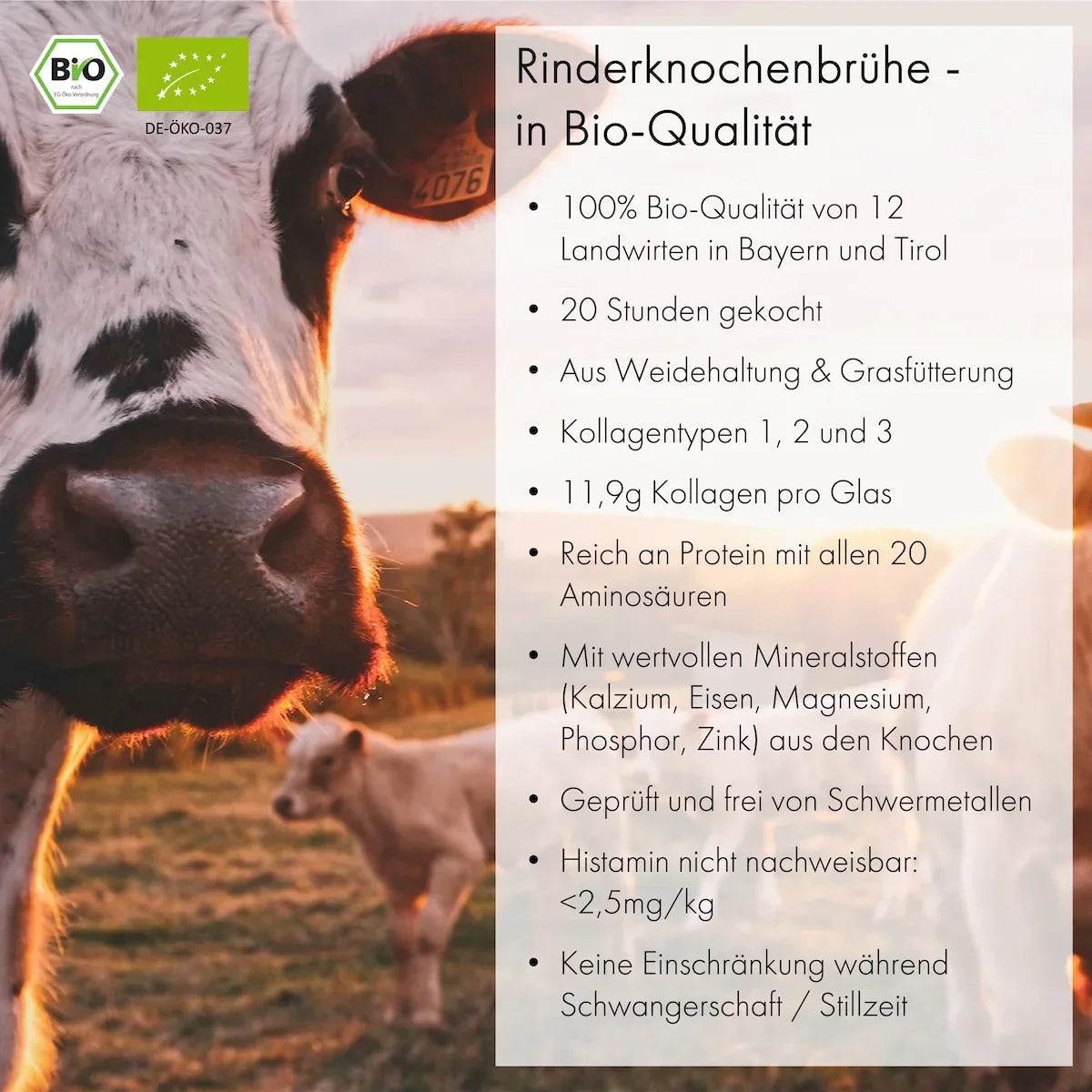 Jarmino Rinderknochenbrühe 350ml – Vorteile und Qualitätsmerkmale, USP, premium Knochenbrühe