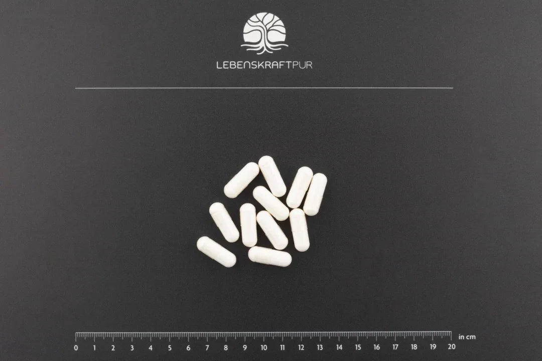 Lebenskraftpur Magnesium Sieben 60 Kapseln – Kapselgröße, Maßeinheit, Größenvergleich