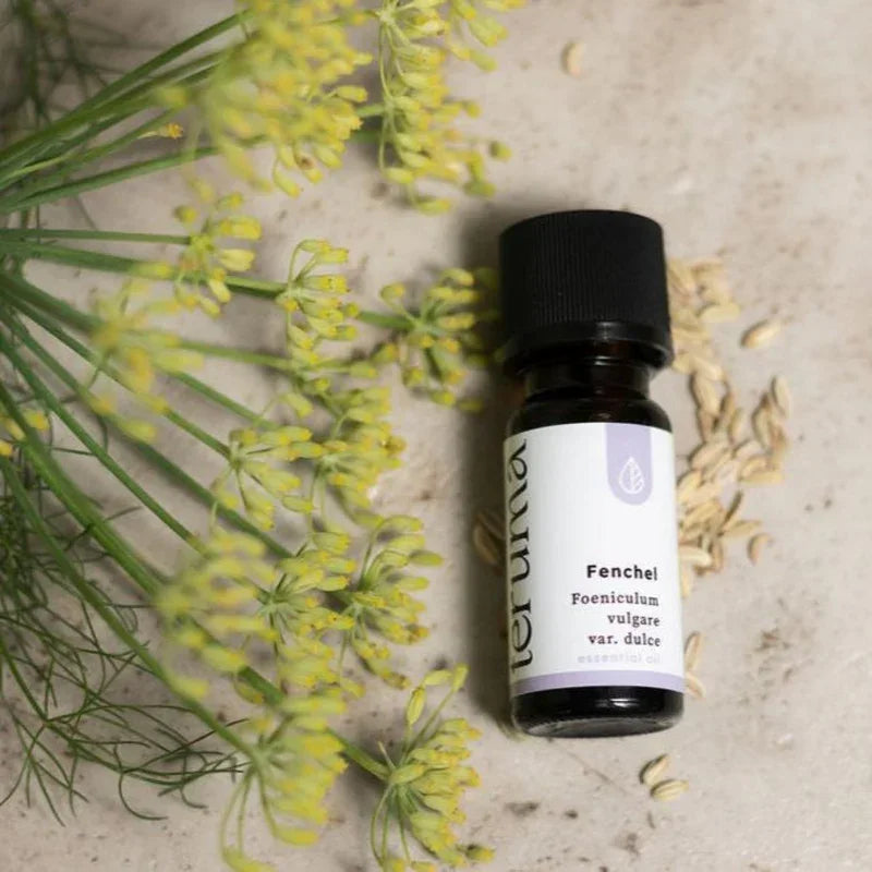 Teruma Fencheloel 10ml - Flasche neben Fenchel