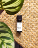 Teruma Fichtennadeloel 10ml - Flasche liegend auf Untergrund