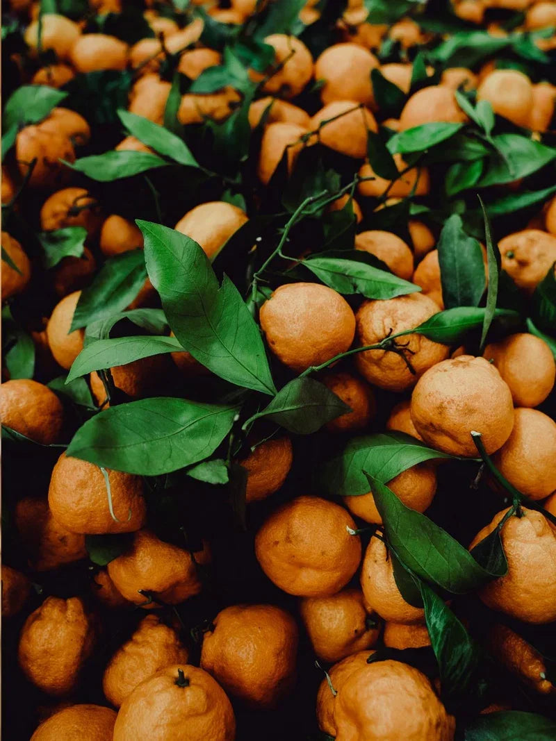 Teruma Mandarinenöl 10ml - Frische Mandarinen als natürliche Rohstoffe