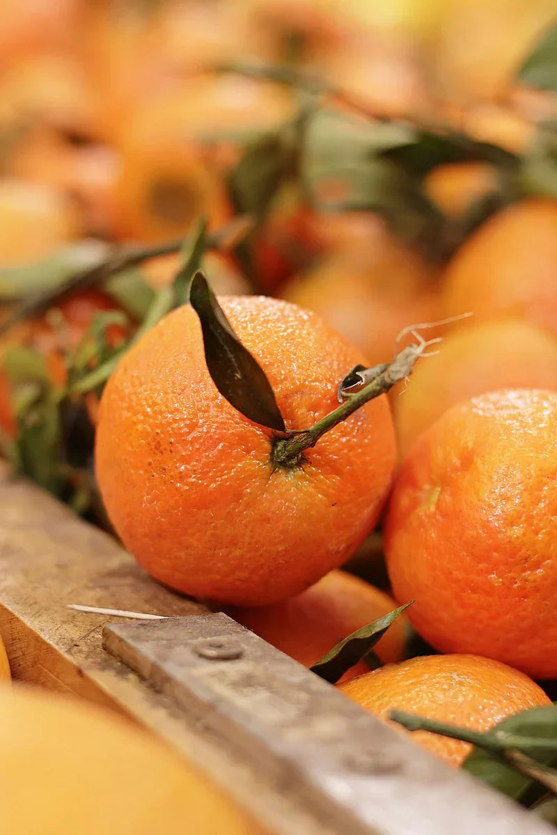 Teruma Orangenöl 10ml - Frische Orangen als natürliche Rohstoffe