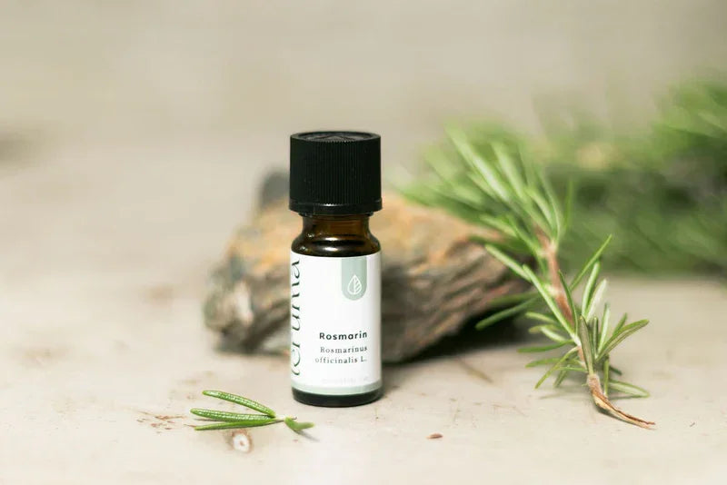 Teruma Rosmarinöl 10ml - 100% naturreines ätherisches Öl