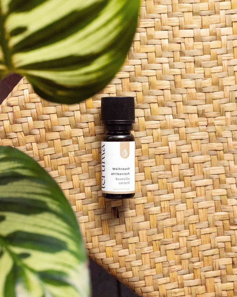 Teruma Weihrauchöl afrikanisch Produktdetails - naturreine Qualität Boswellia carterii